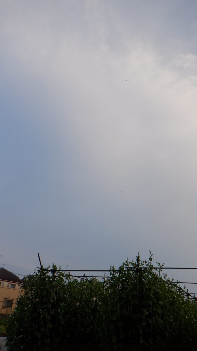 f:id:cafelegume:20200513213834j:plain