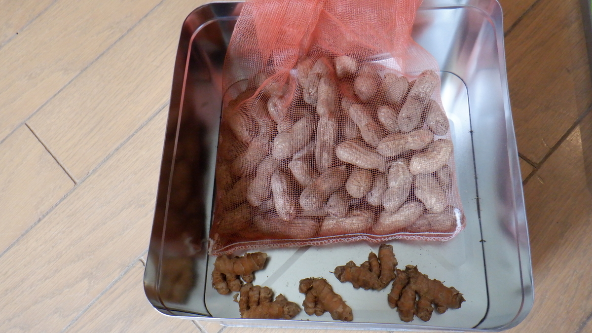 f:id:cafelegume:20200515225047j:plain f:id:cafelegume:20200515225047j:plain