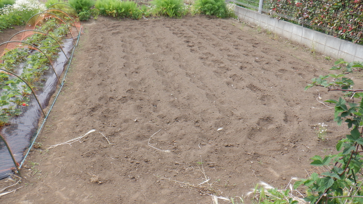 f:id:cafelegume:20200515225745j:plain f:id:cafelegume:20200515225745j:plain