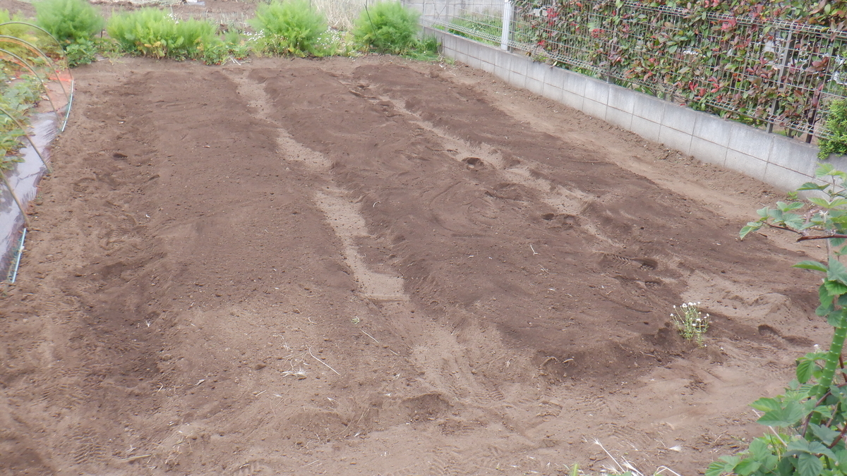 f:id:cafelegume:20200515225846j:plain f:id:cafelegume:20200515225846j:plain