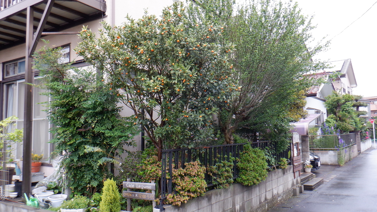 f:id:cafelegume:20200521190224j:plain