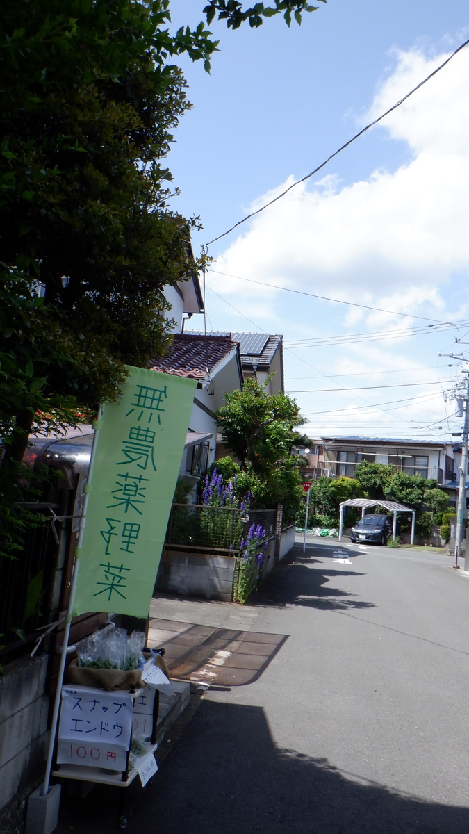 f:id:cafelegume:20200524235450j:plain f:id:cafelegume:20200524235450j:plain