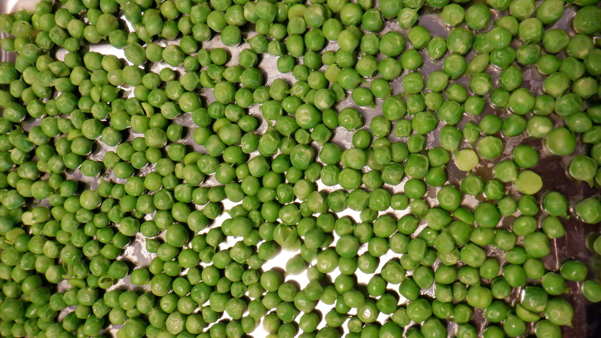 f:id:cafelegume:20200525000040j:plain f:id:cafelegume:20200525000040j:plain