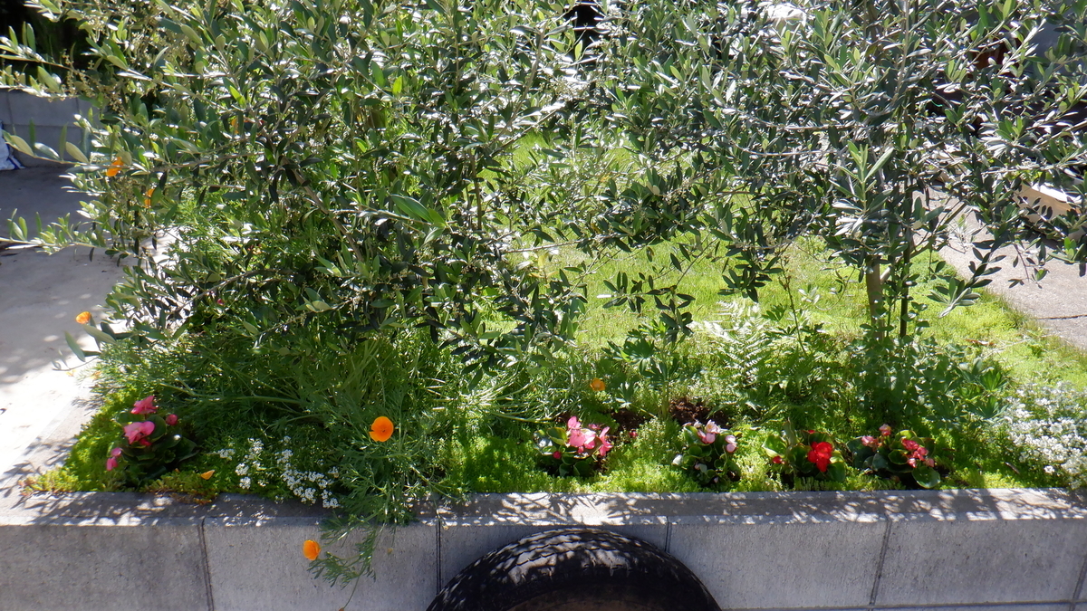 f:id:cafelegume:20200525001343j:plain f:id:cafelegume:20200525001343j:plain