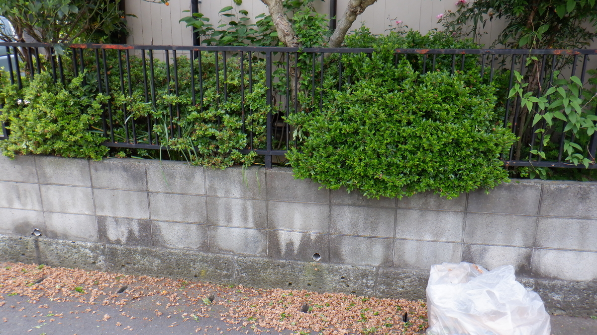 f:id:cafelegume:20200526113758j:plain