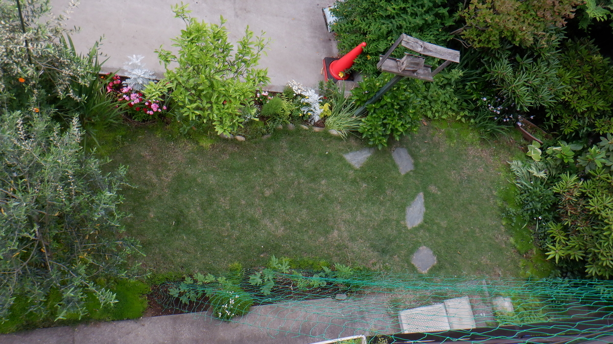 f:id:cafelegume:20200528215001j:plain f:id:cafelegume:20200528215001j:plain