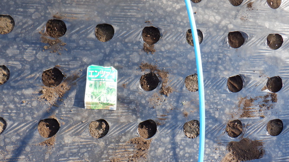 f:id:cafelegume:20200529230153j:plain