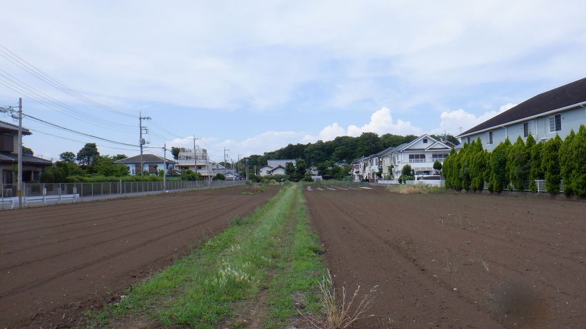 f:id:cafelegume:20200530231331j:plain f:id:cafelegume:20200530231331j:plain