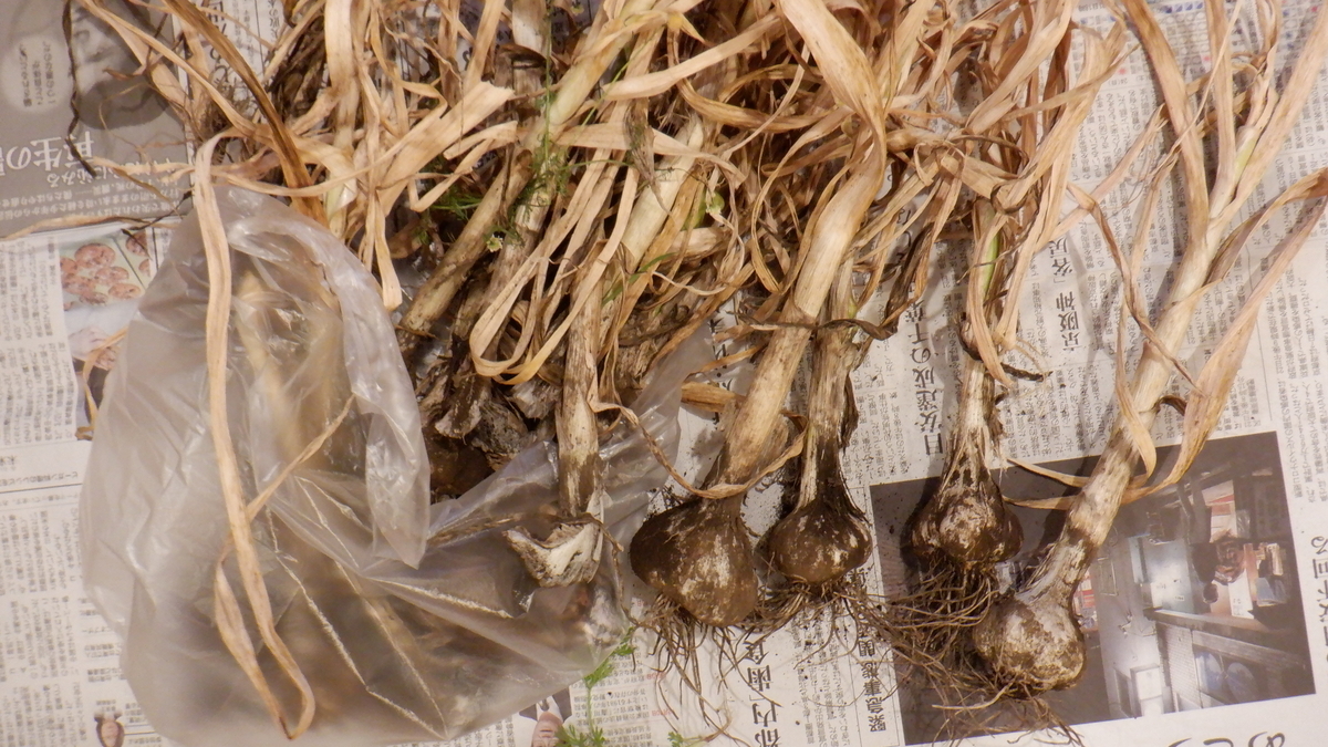f:id:cafelegume:20200530233855j:plain f:id:cafelegume:20200530233855j:plain