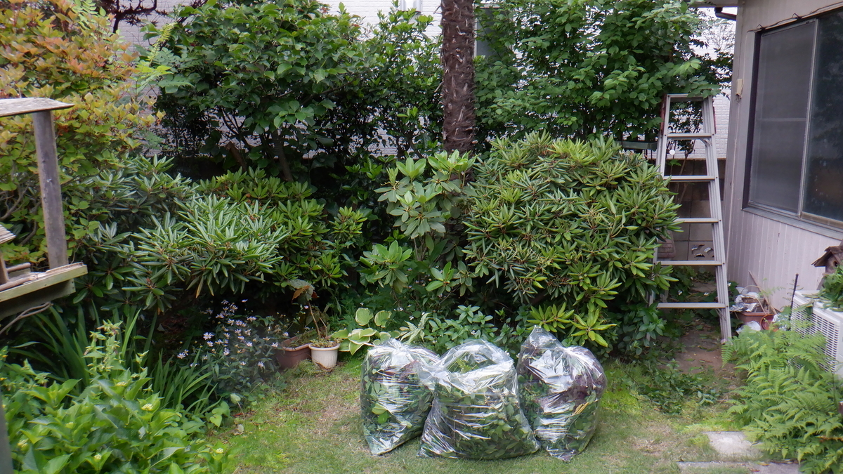 f:id:cafelegume:20200531223825j:plain