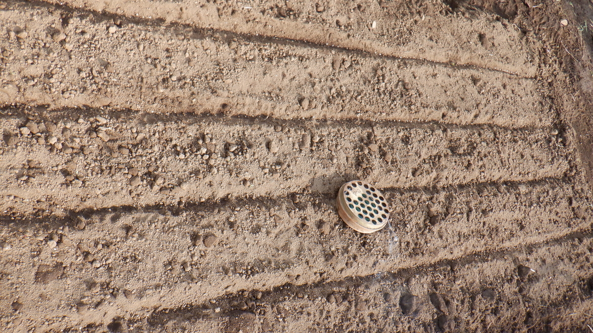 f:id:cafelegume:20200731212500j:plain f:id:cafelegume:20200731212500j:plain