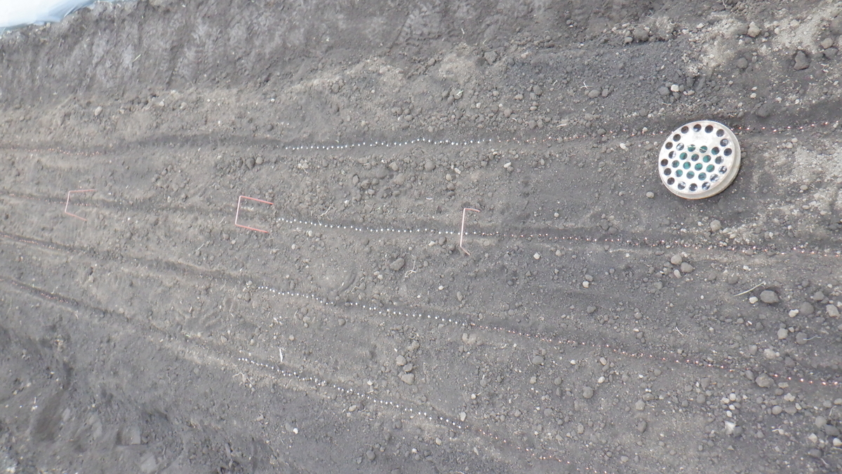 f:id:cafelegume:20200731214452j:plain f:id:cafelegume:20200731214452j:plain