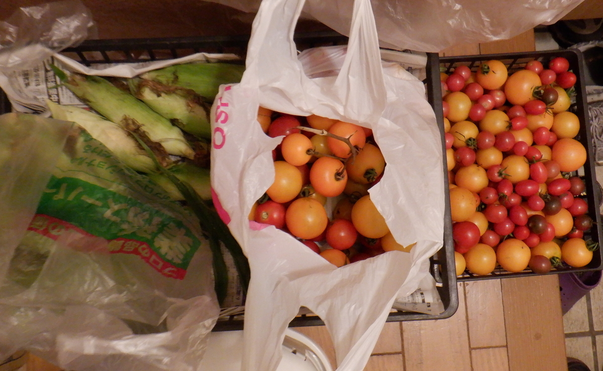 f:id:cafelegume:20200731220255j:plain f:id:cafelegume:20200731220255j:plain