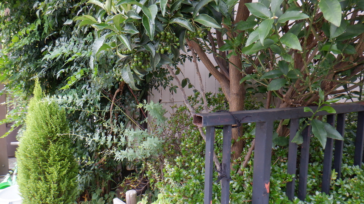 f:id:cafelegume:20200916212214j:plain