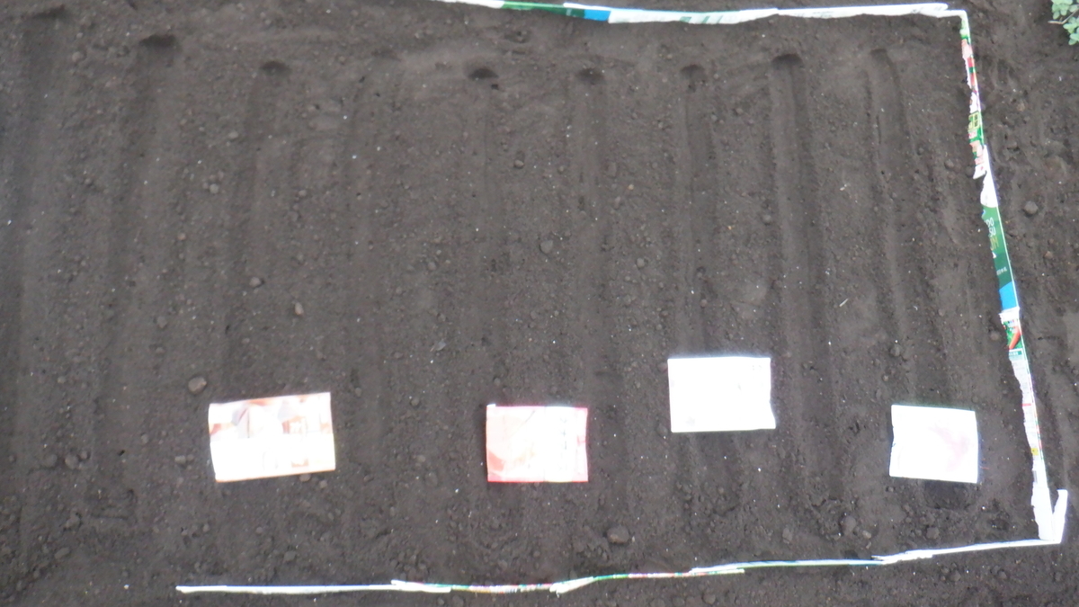 f:id:cafelegume:20200920224714j:plain