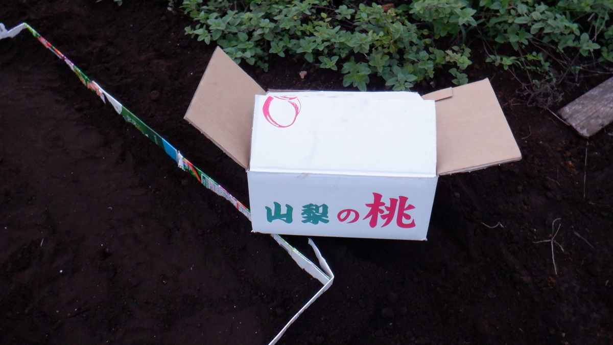 f:id:cafelegume:20200920225322j:plain
