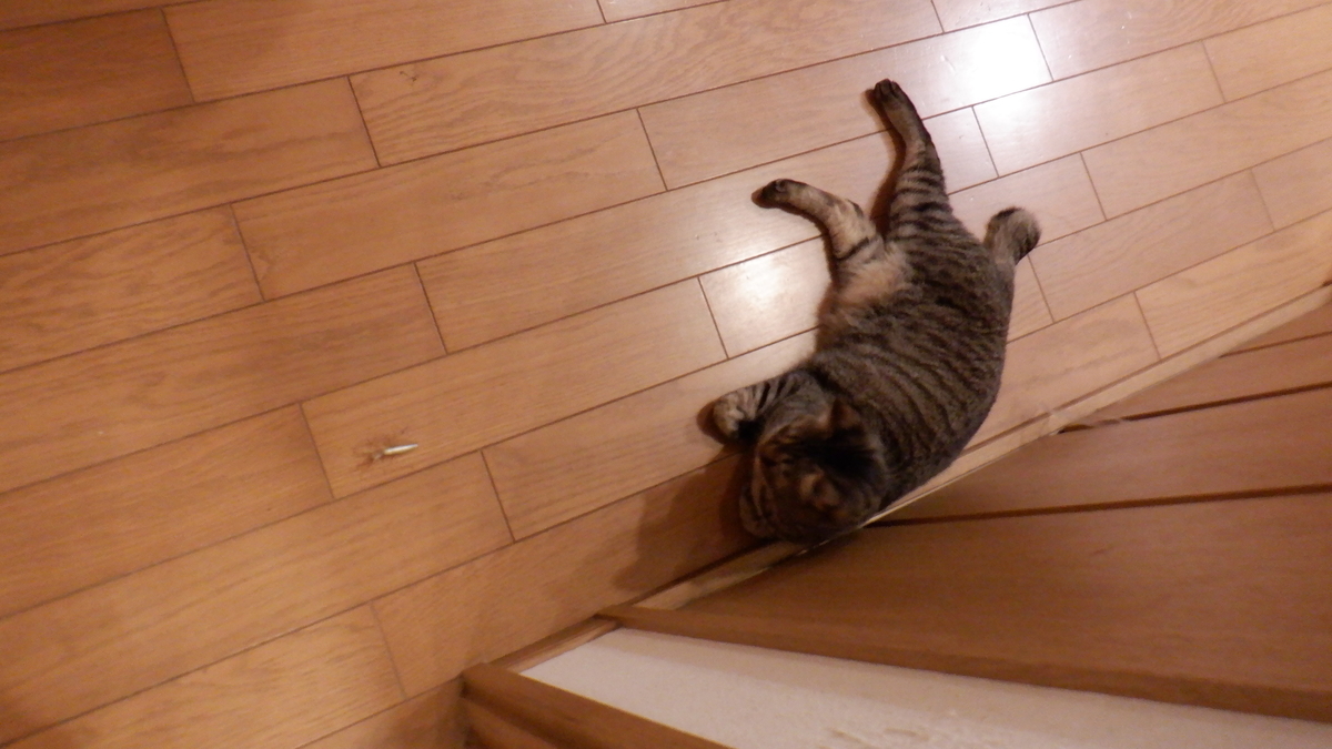 f:id:cafelegume:20201001220306j:plain