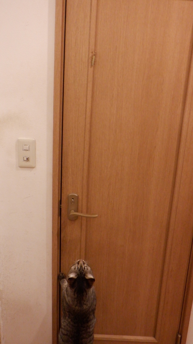 f:id:cafelegume:20201001220505j:plain