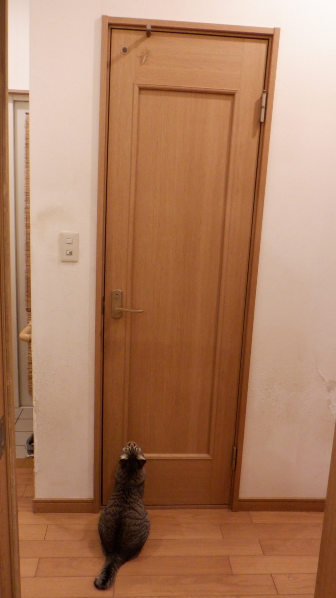 f:id:cafelegume:20201001220647j:plain