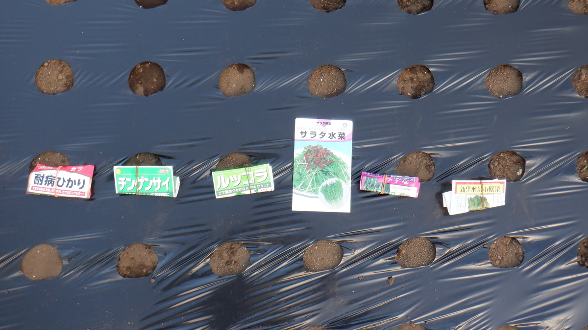 f:id:cafelegume:20201002215754j:plain