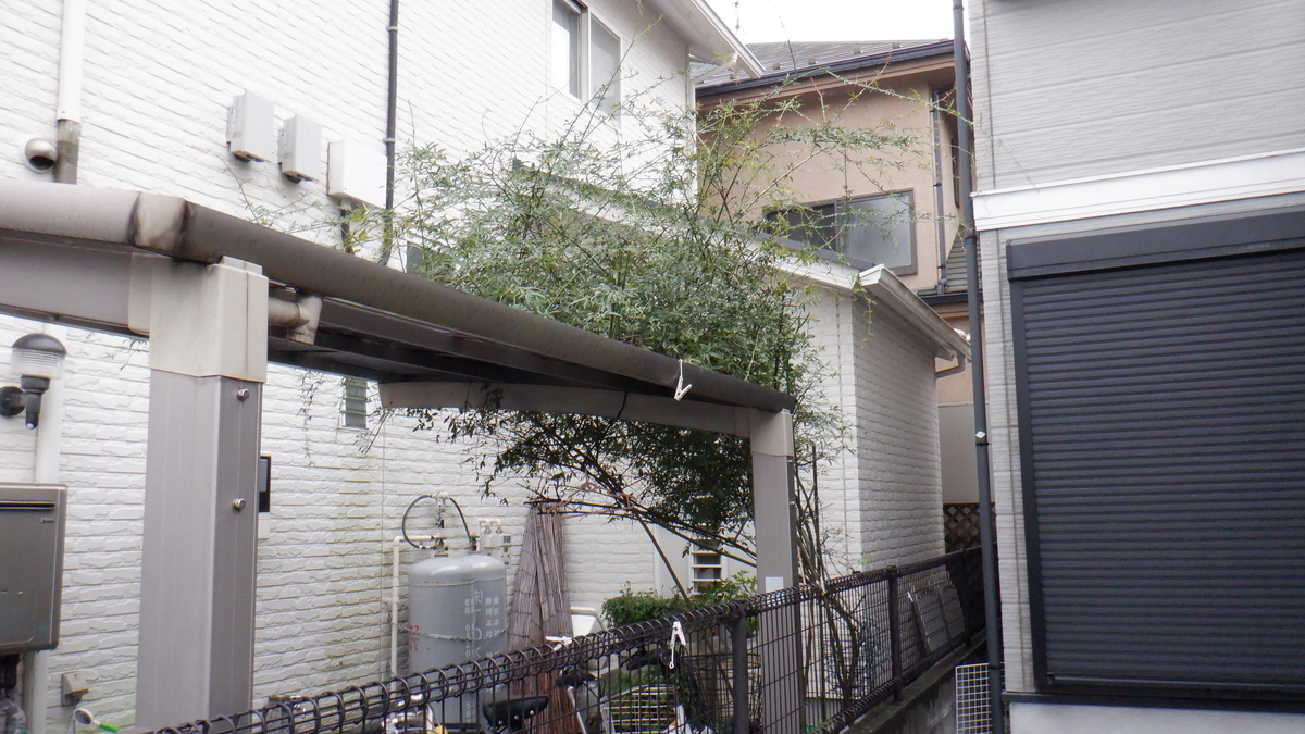 f:id:cafelegume:20201003213756j:plain