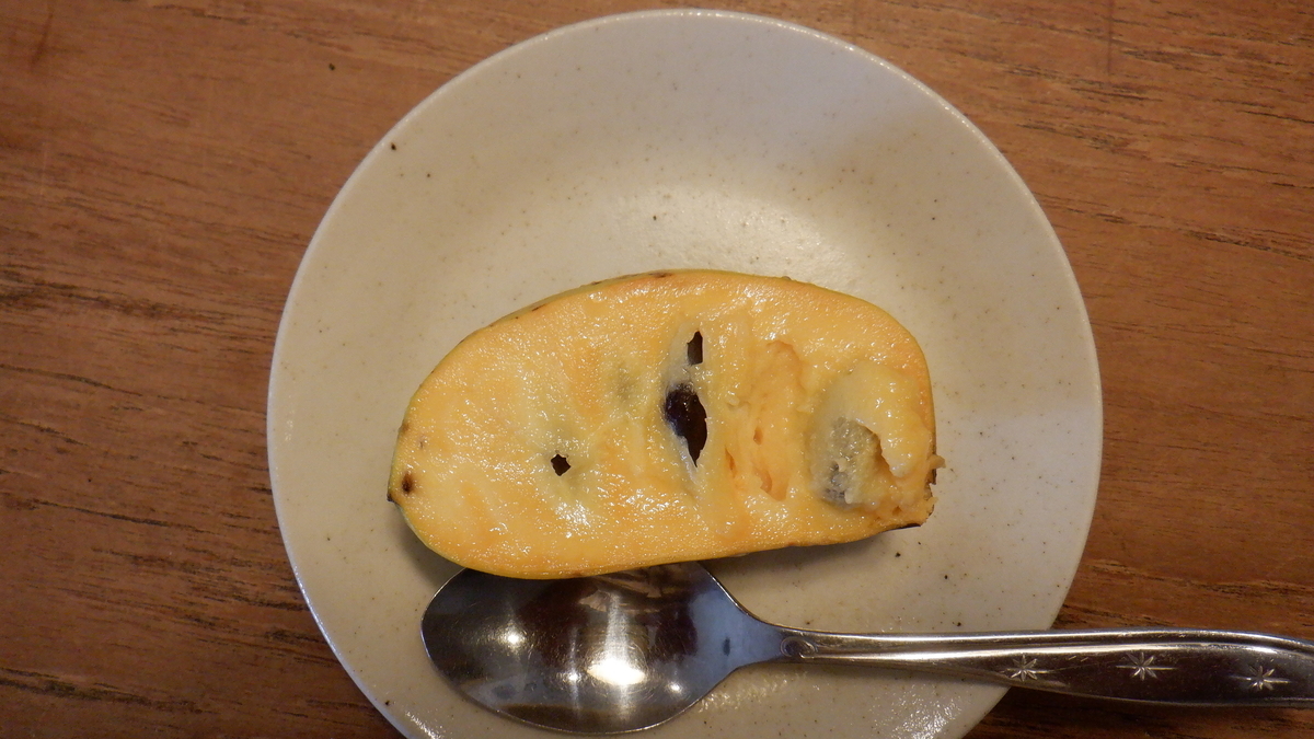 f:id:cafelegume:20201003215413j:plain