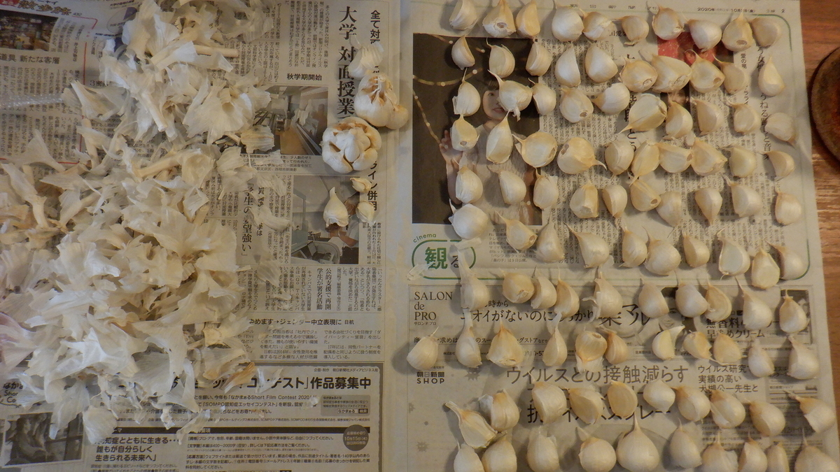 f:id:cafelegume:20201004211004j:plain f:id:cafelegume:20201004211004j:plain