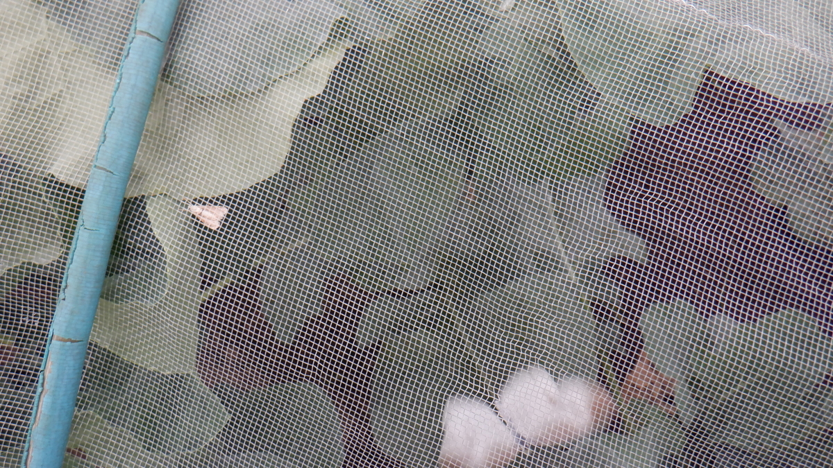 f:id:cafelegume:20201005213819j:plain