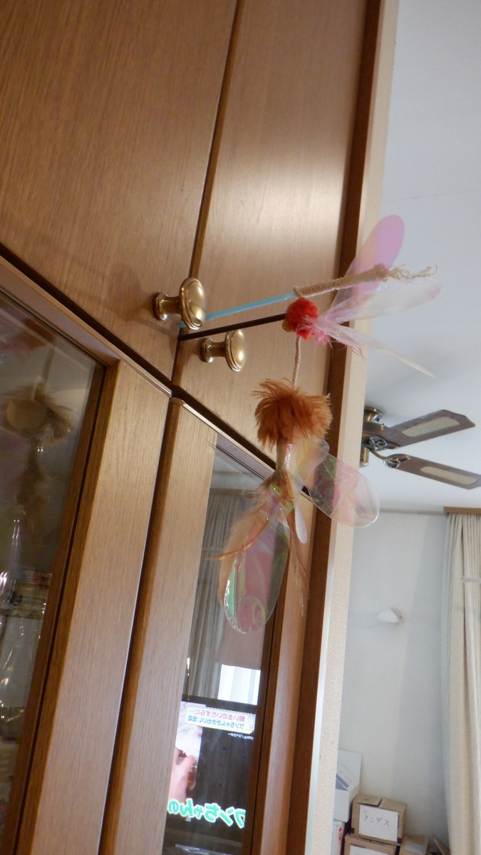 f:id:cafelegume:20201005223922j:plain