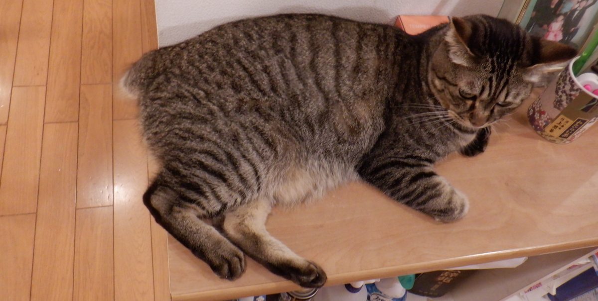 f:id:cafelegume:20201005225352j:plain