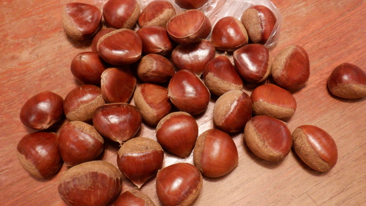 f:id:cafelegume:20201007211542j:plain