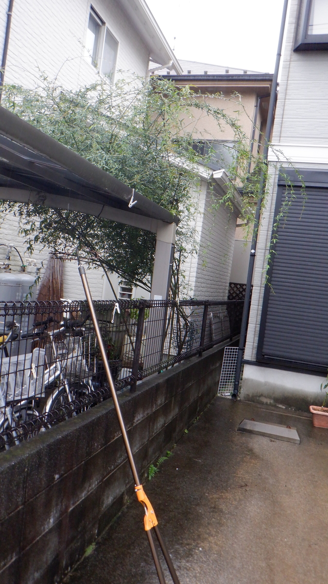 f:id:cafelegume:20201009184213j:plain