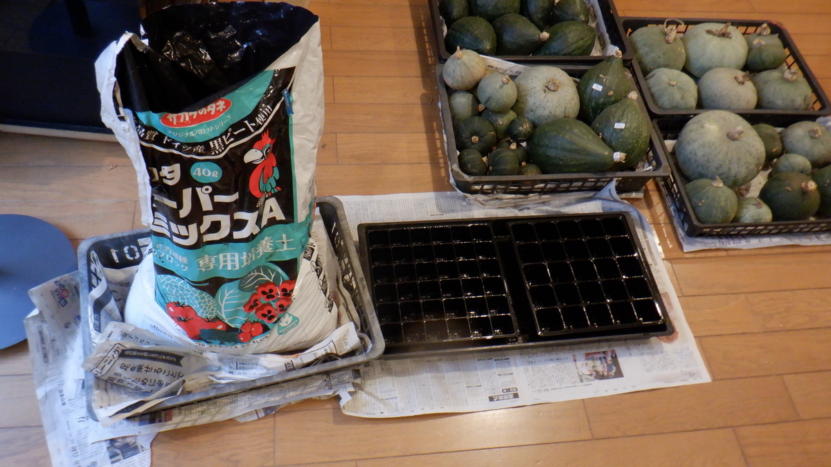 f:id:cafelegume:20201009192011j:plain