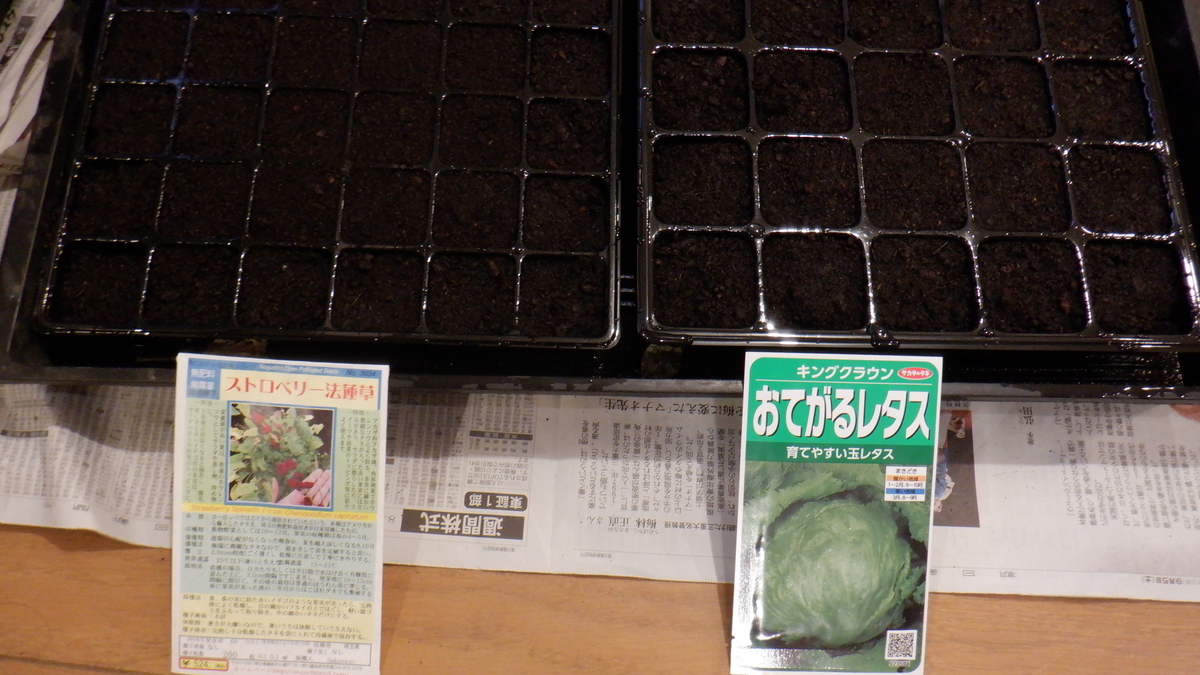 f:id:cafelegume:20201009192202j:plain