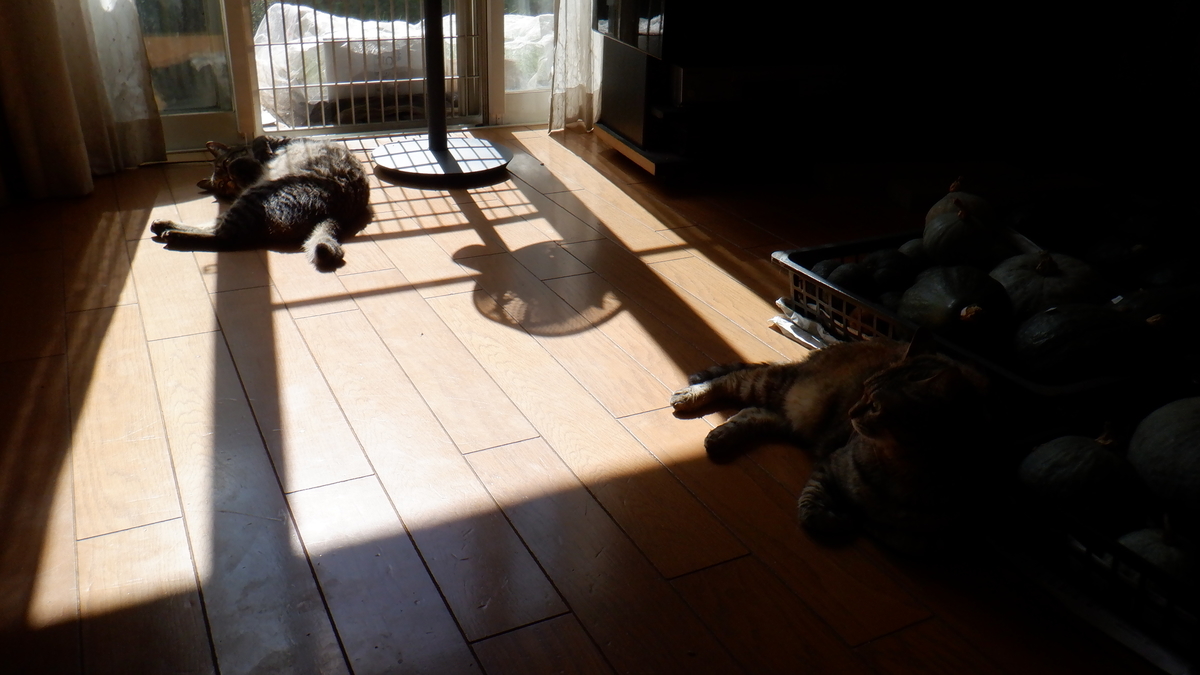 f:id:cafelegume:20201012210855j:plain f:id:cafelegume:20201012210855j:plain