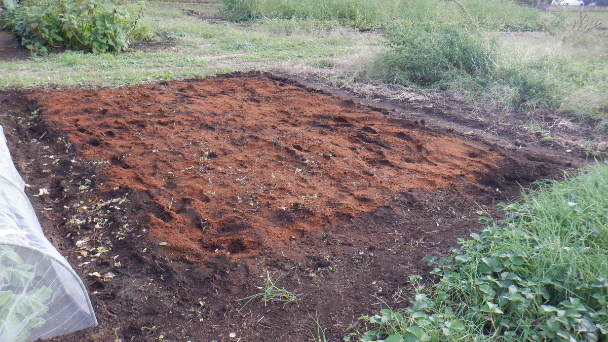 f:id:cafelegume:20201012212435j:plain f:id:cafelegume:20201012212435j:plain