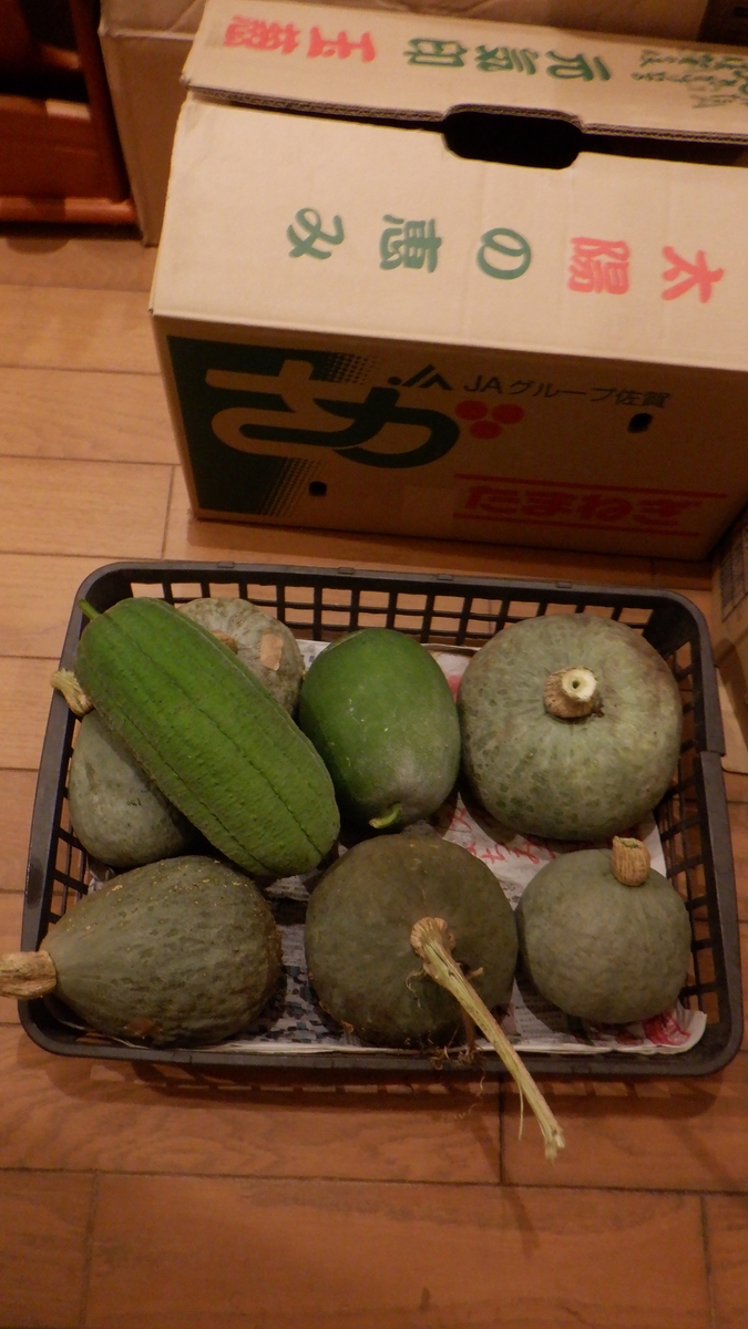 f:id:cafelegume:20201012215735j:plain f:id:cafelegume:20201012215735j:plain