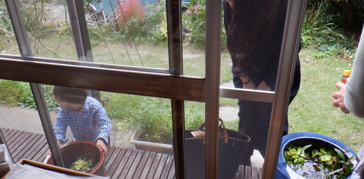 f:id:cafelegume:20201014215030j:plain