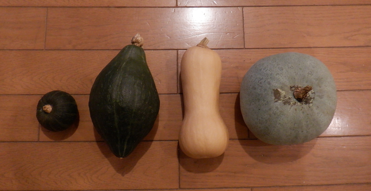 f:id:cafelegume:20201021215322j:plain
