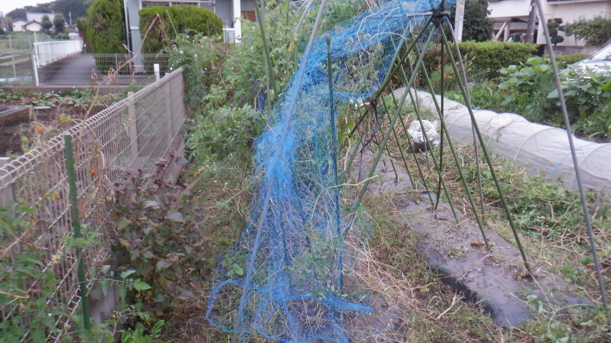 f:id:cafelegume:20201022192619j:plain