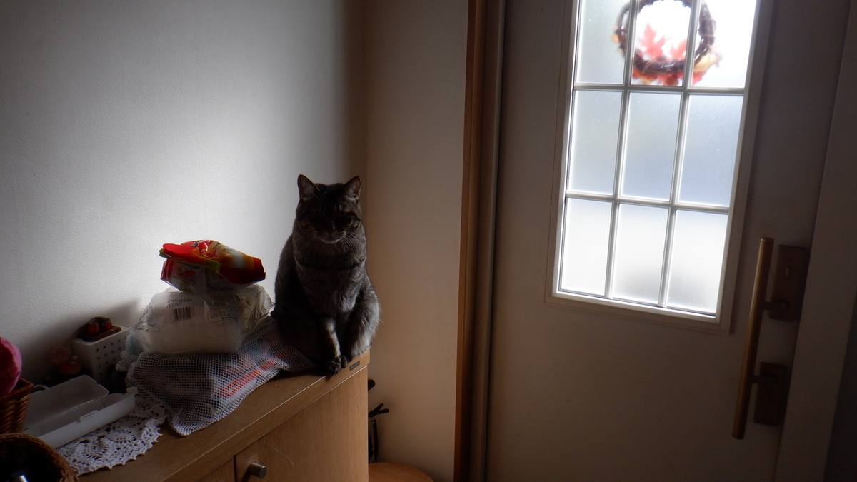 f:id:cafelegume:20201023215054j:plain