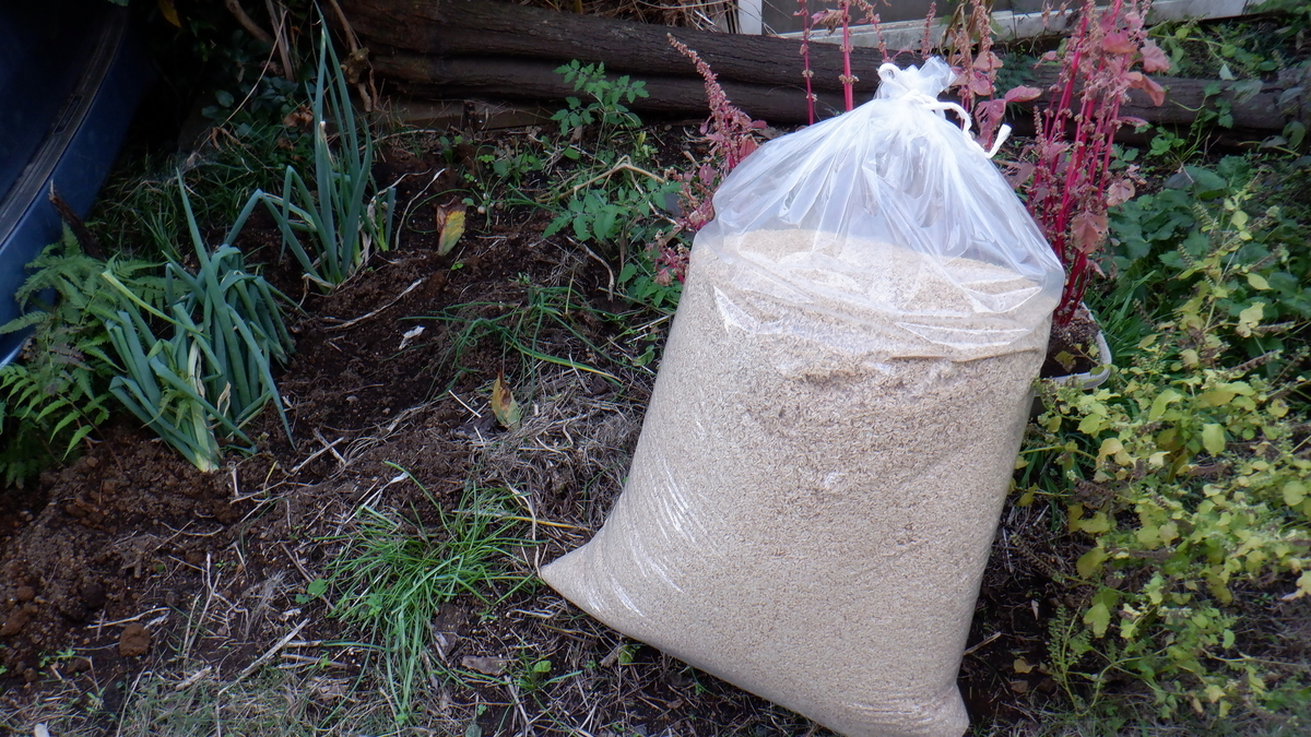 f:id:cafelegume:20201025220349j:plain f:id:cafelegume:20201025220349j:plain