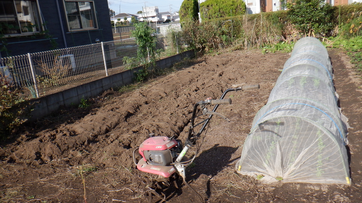 f:id:cafelegume:20201026202114j:plain