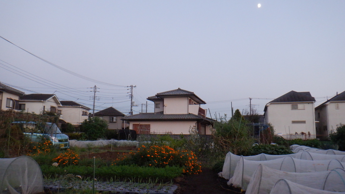 f:id:cafelegume:20201026212500j:plain