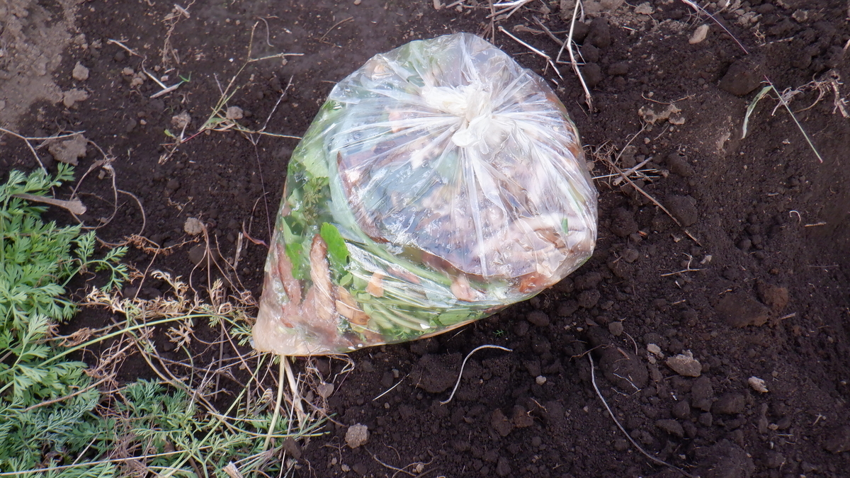 f:id:cafelegume:20201104194042j:plain
