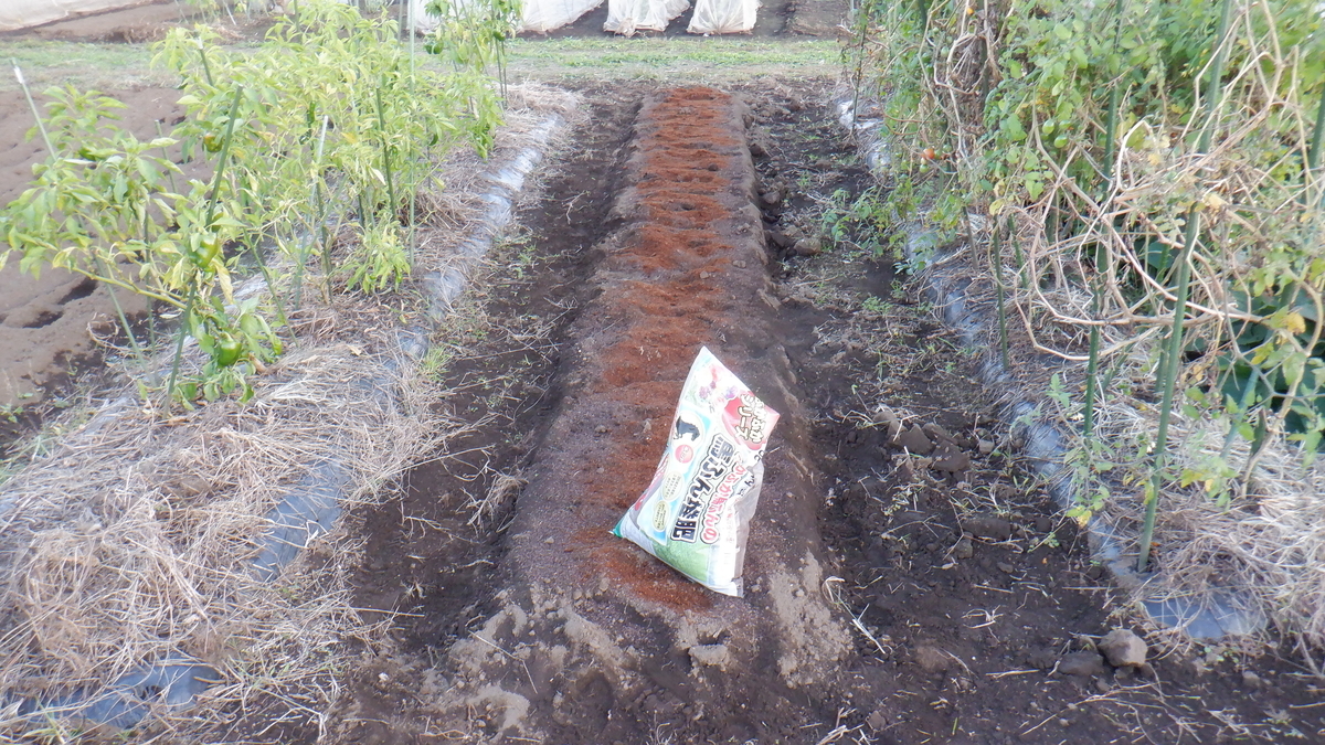 f:id:cafelegume:20201105213618j:plain