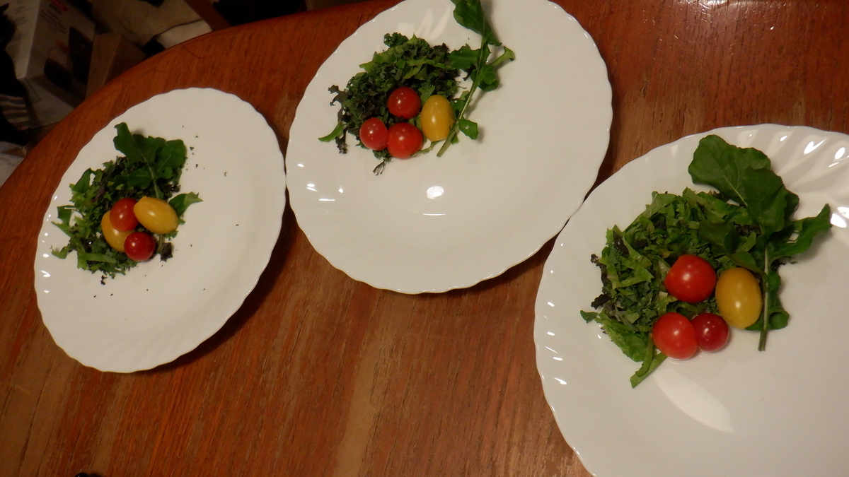 f:id:cafelegume:20201105215112j:plain