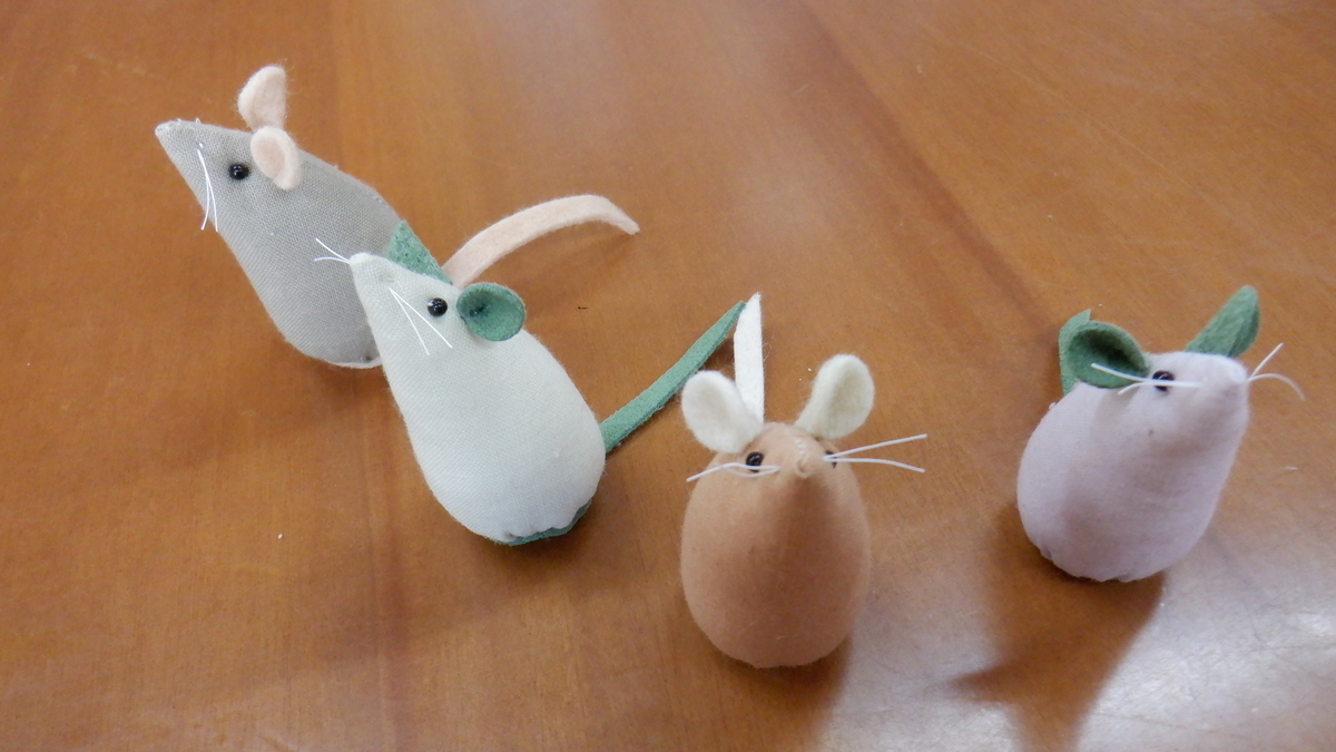 f:id:cafelegume:20201115221916j:plain