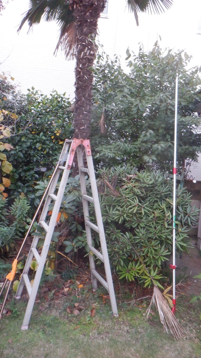 f:id:cafelegume:20201117220602j:plain