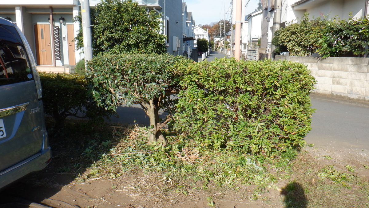 f:id:cafelegume:20201119185511j:plain